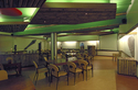 Knoefzaal - Safari Meeting Centre, Midden In Burgers' Zoo